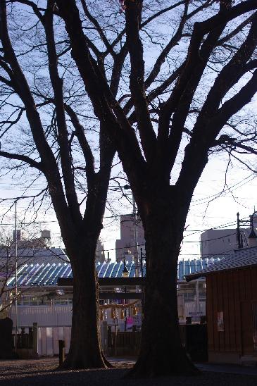 c0182782_2257337.jpg