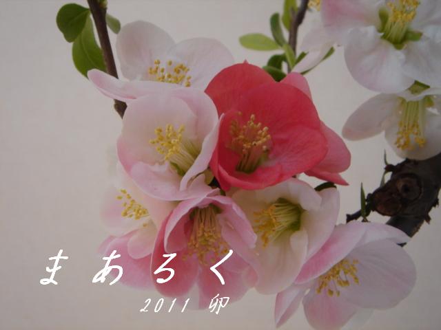 c0228393_11414649.jpg