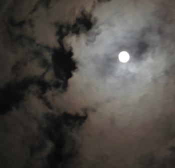 b0161394_22504337.jpg