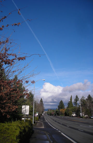 d0000995_17492871.jpg