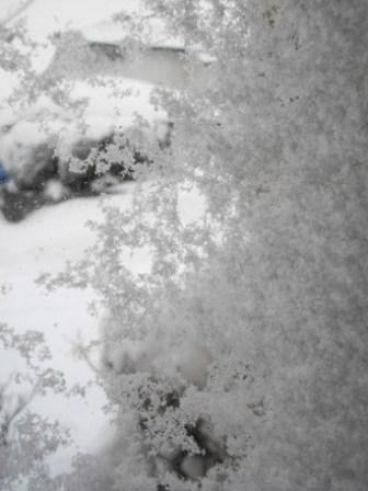 f0226596_2012342.jpg