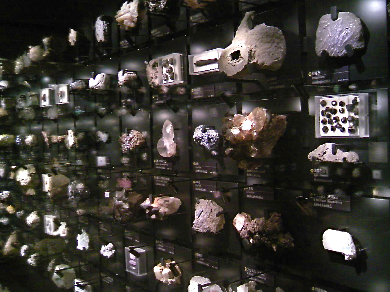 a0199297_1353143.jpg