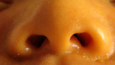 a0122198_033125.jpg