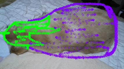 b0206300_17541894.jpg