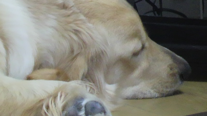 b0206300_17574599.jpg