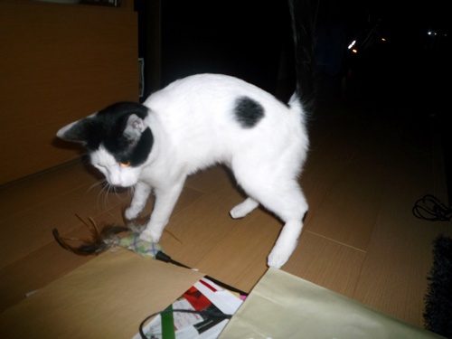 d0057701_849299.jpg