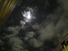 d0058606_1792321.jpg