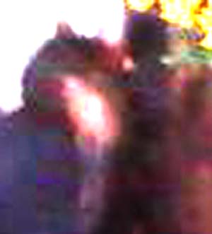 e0103408_04854100.jpg