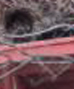 e0103408_16194555.jpg