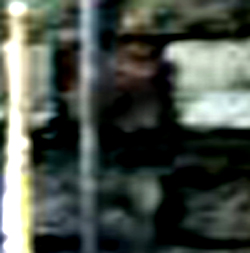 e0103408_16201559.jpg