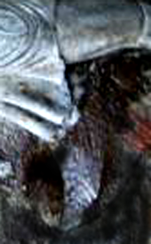 e0103408_1635227.jpg