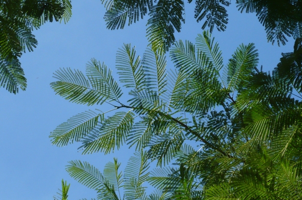 f0221708_126239.jpg