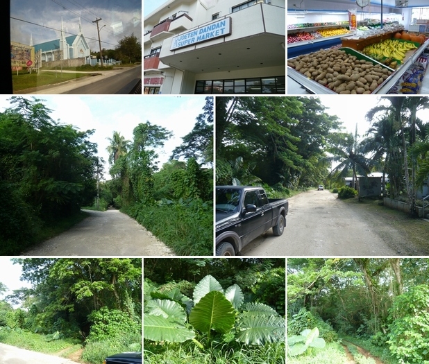 f0221708_1424068.jpg