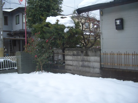 e0033713_11224272.jpg