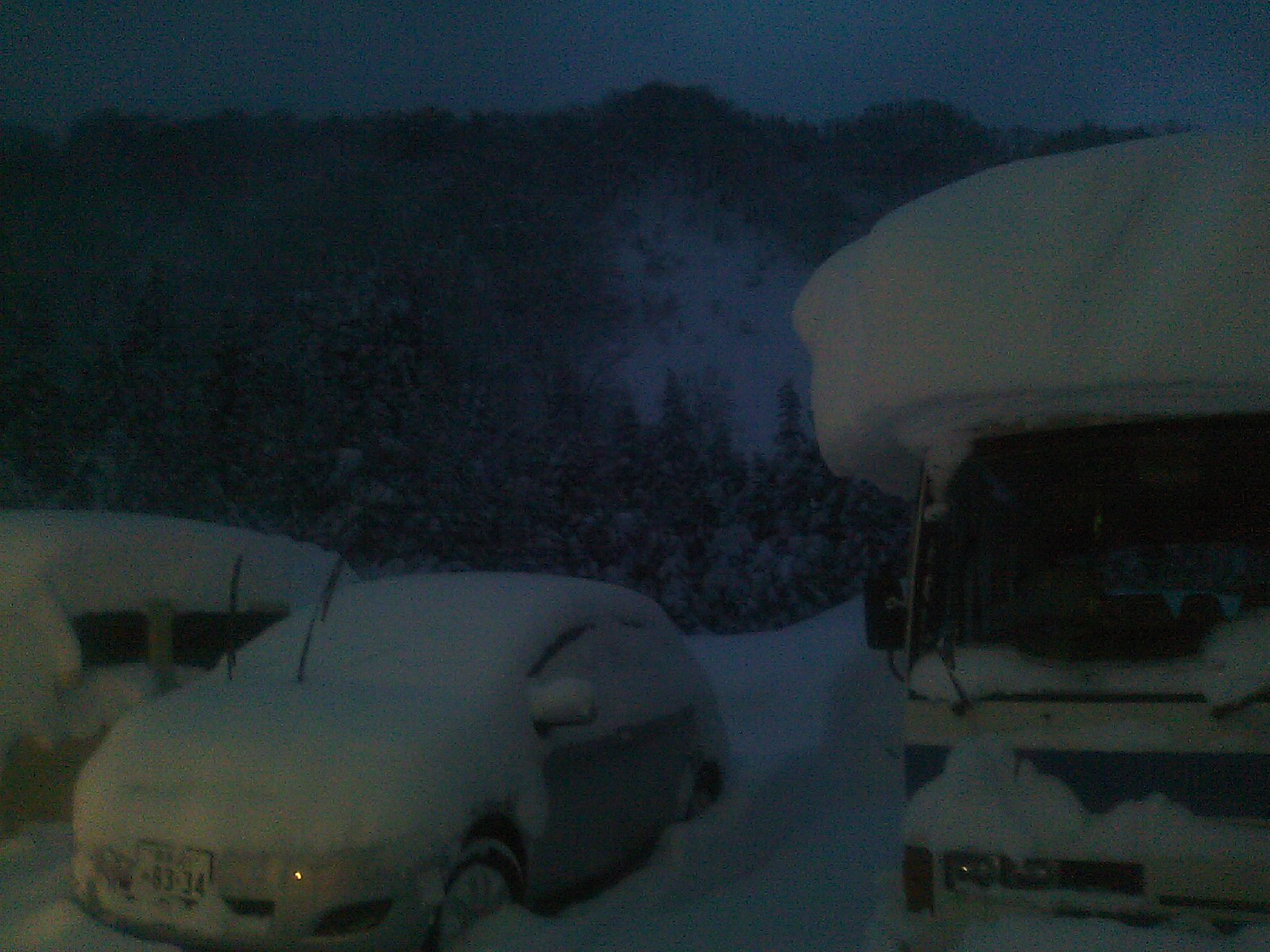 c0210618_0354011.jpg