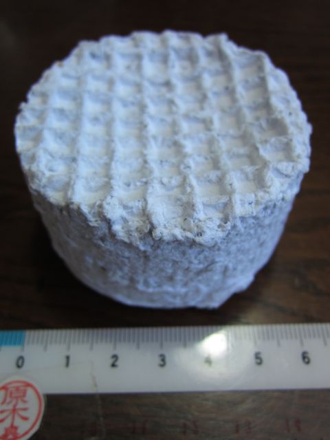 f0100920_8481487.jpg