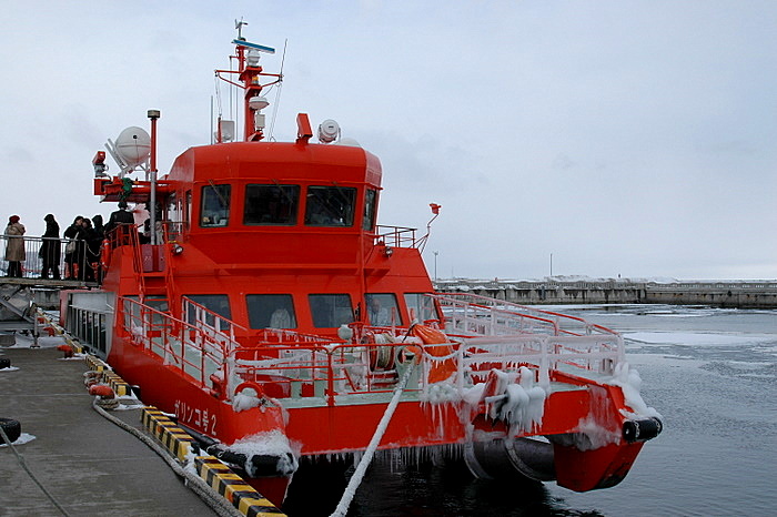 b0165522_1358214.jpg