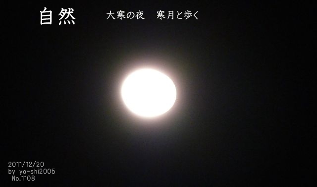 e0033229_2229595.jpg