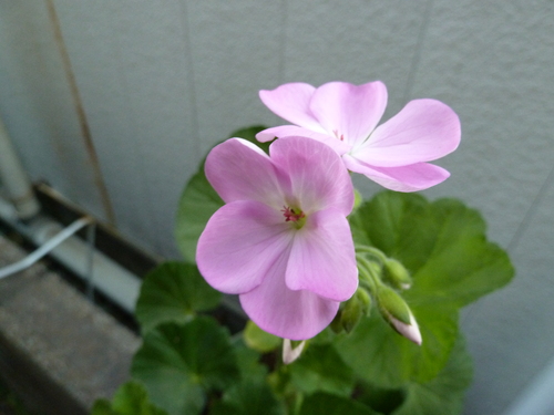 e0033229_22524787.jpg