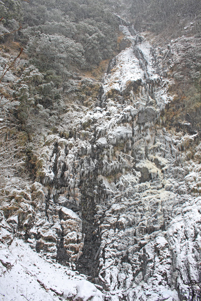 e0083238_2150771.jpg