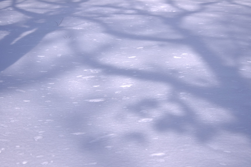 f0152939_13213866.jpg