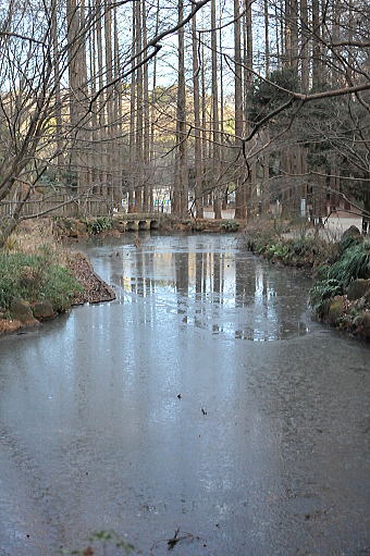f0094843_0574896.jpg
