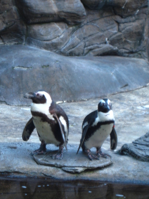 c0209845_23103249.jpg