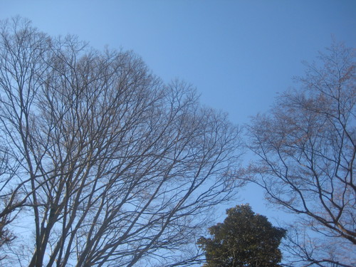 e0199046_12555637.jpg