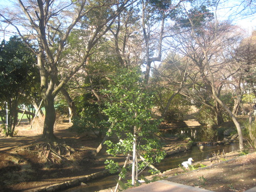 e0199046_12584661.jpg