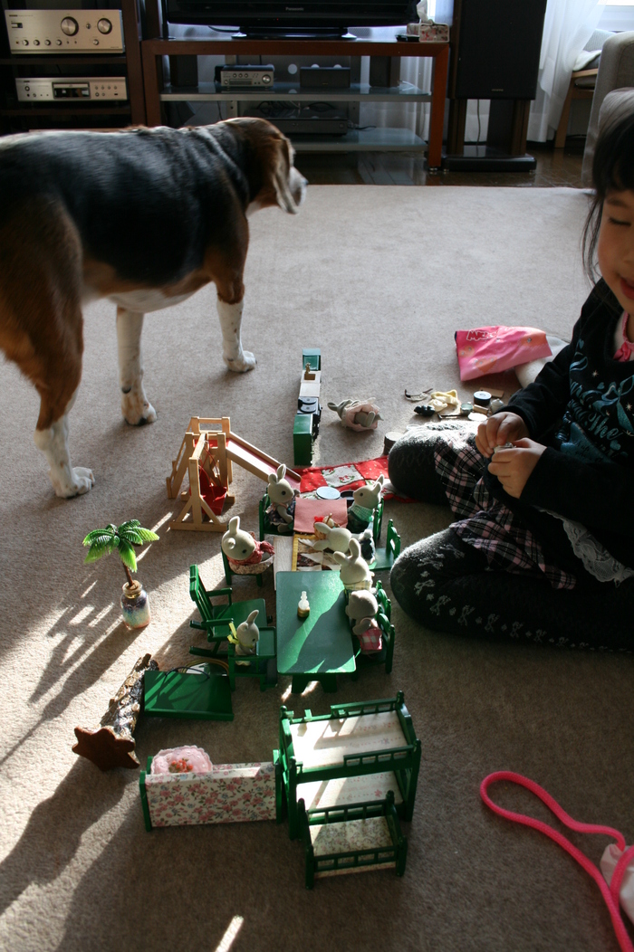d0015453_14285061.jpg