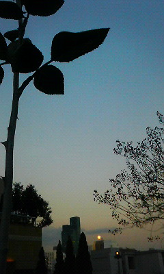 f0205860_9541941.jpg
