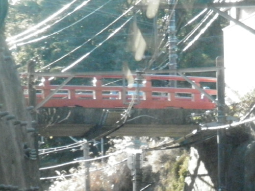 c0222964_0594431.jpg