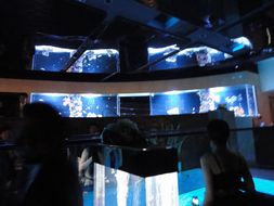 b0133870_19155048.jpg