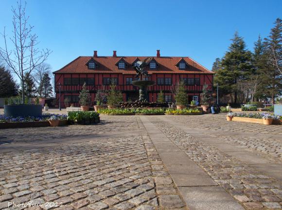 b0078874_16122695.jpg