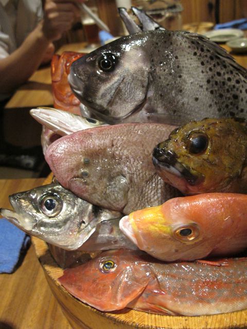 e0132881_19334788.jpg