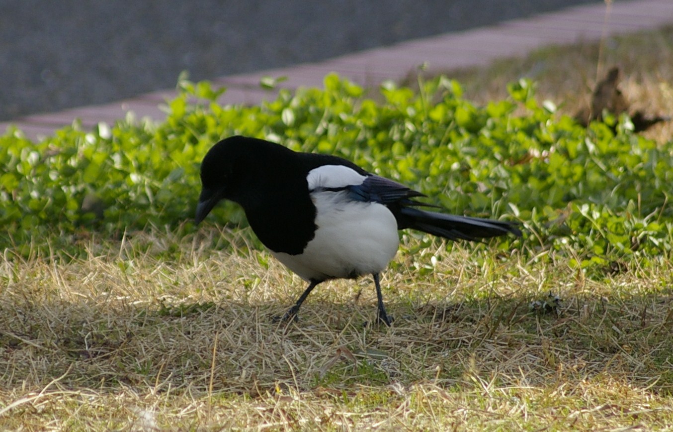 e0197884_22444675.jpg
