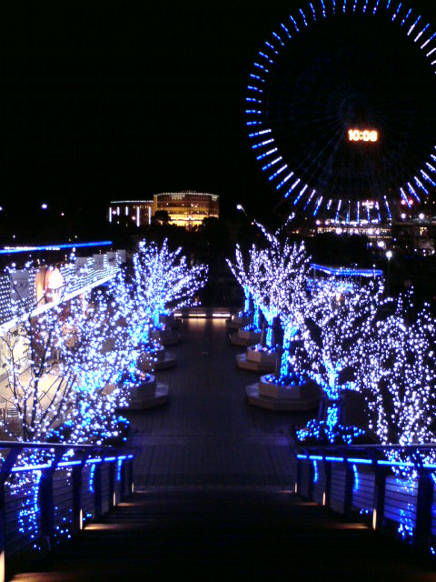 c0122788_3305275.jpg