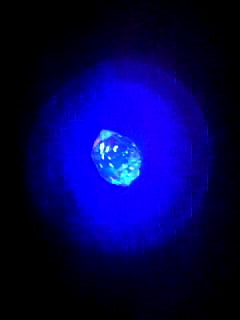 a0199297_10524416.jpg