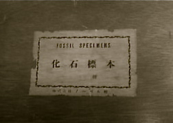 a0199297_1835645.jpg