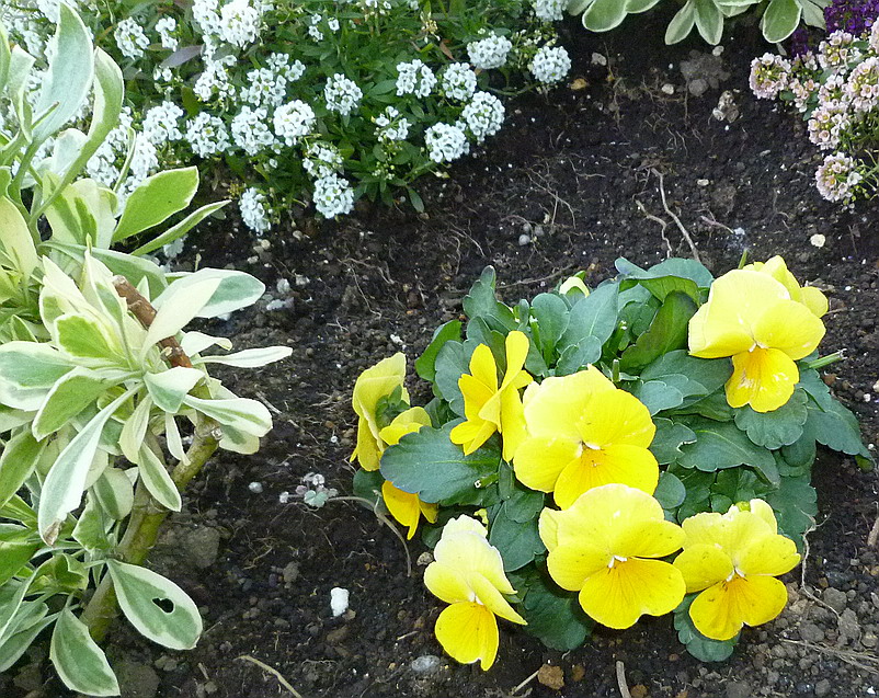 c0138198_10132986.jpg