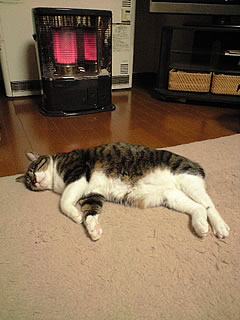 c0035001_15474461.jpg