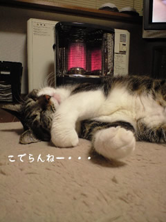 c0035001_1547495.jpg