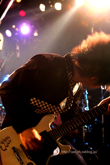a0141802_1562811.jpg