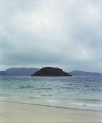 e0219402_128406.jpg
