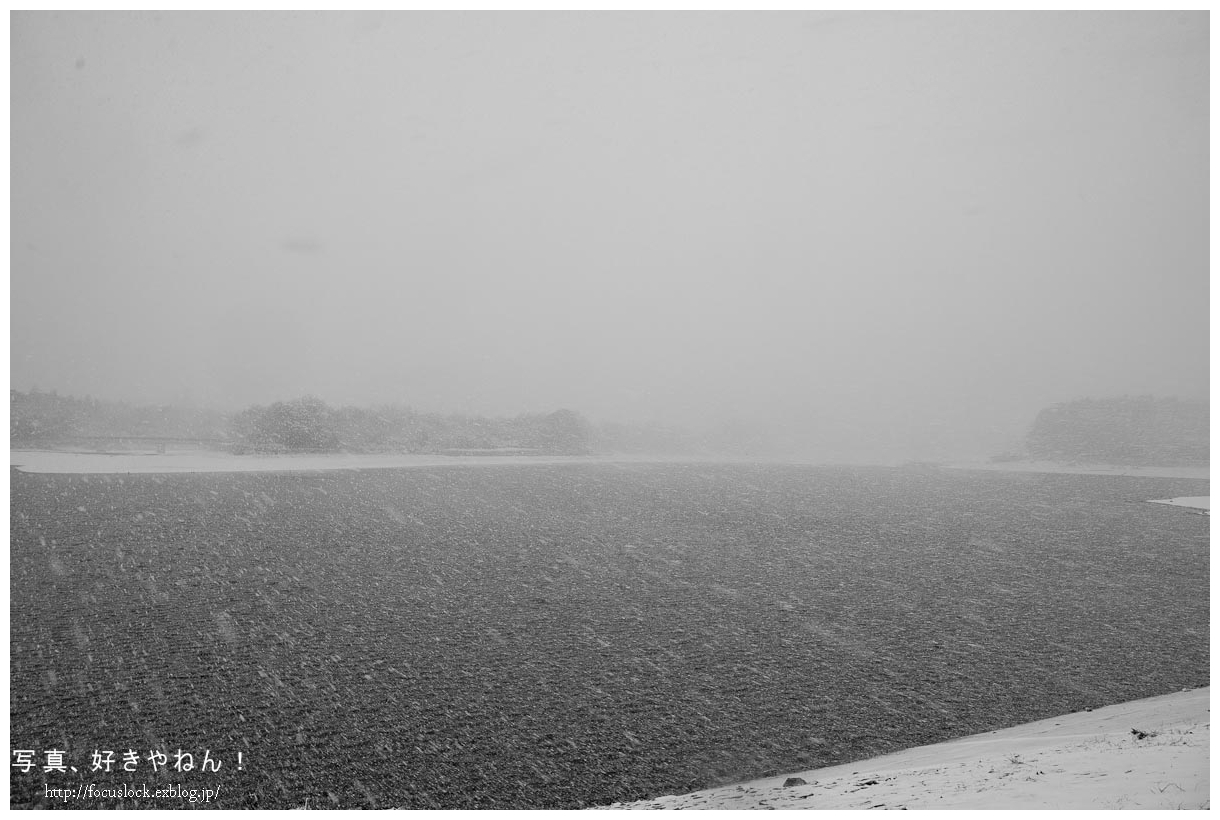 f0220502_17584590.jpg