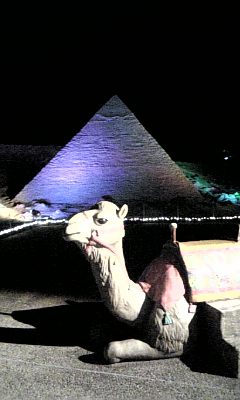 a0013905_2315310.jpg