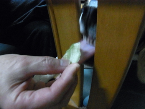 c0205806_22332176.jpg