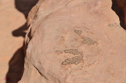 d0126508_433059.jpg