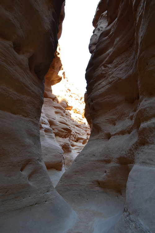 d0126508_4365319.jpg