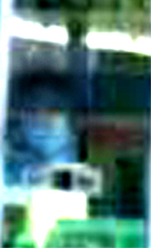 e0103408_1262454.jpg